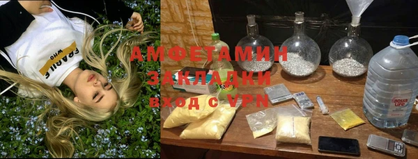 ГАЛЛЮЦИНОГЕННЫЕ ГРИБЫ Балабаново